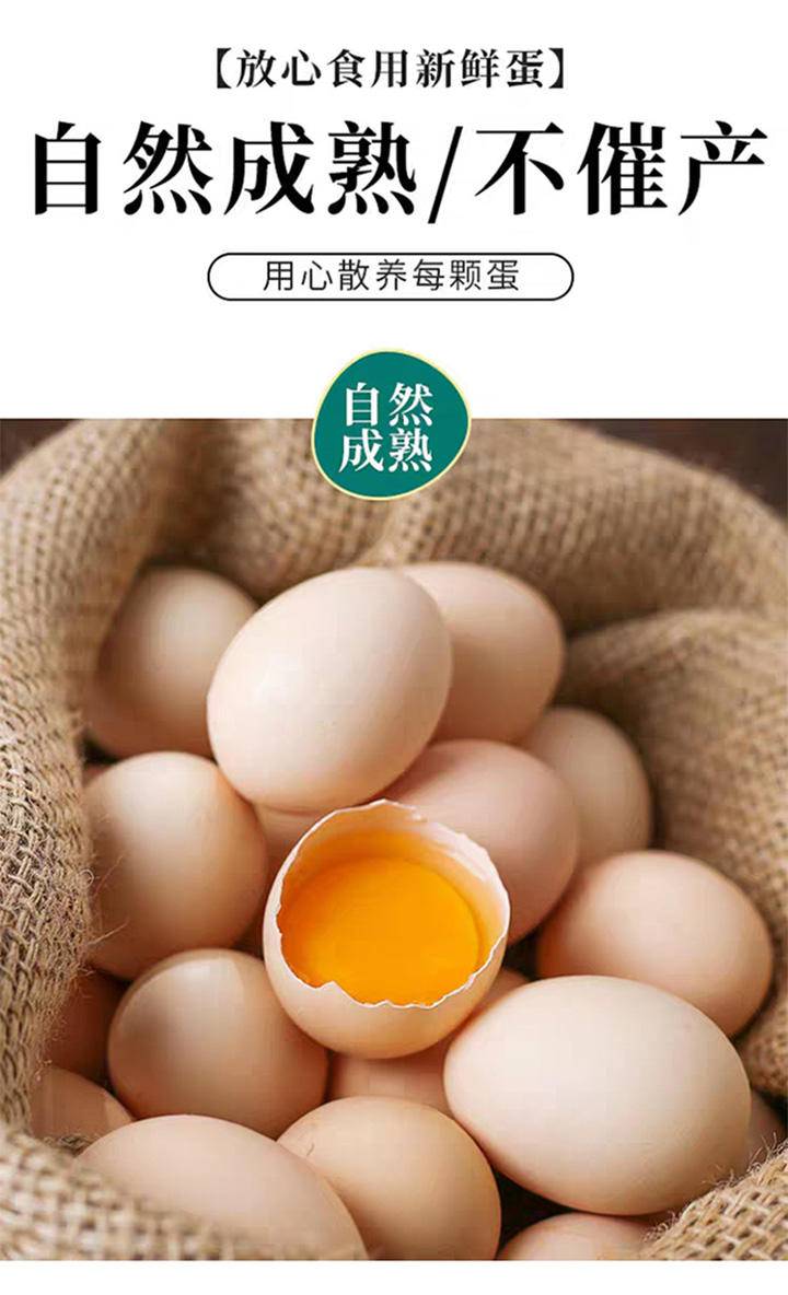 张氏蜂产品专供冠鳌农村散养土鸡蛋笨鸡蛋40枚/箱