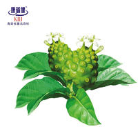 康蓓健 诺丽果酵素粉3g/条×60条/盒