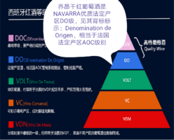 逸金酒业 西班牙2022年份乔昂干红葡萄酒国际称王称霸的赤霞珠葡萄品种