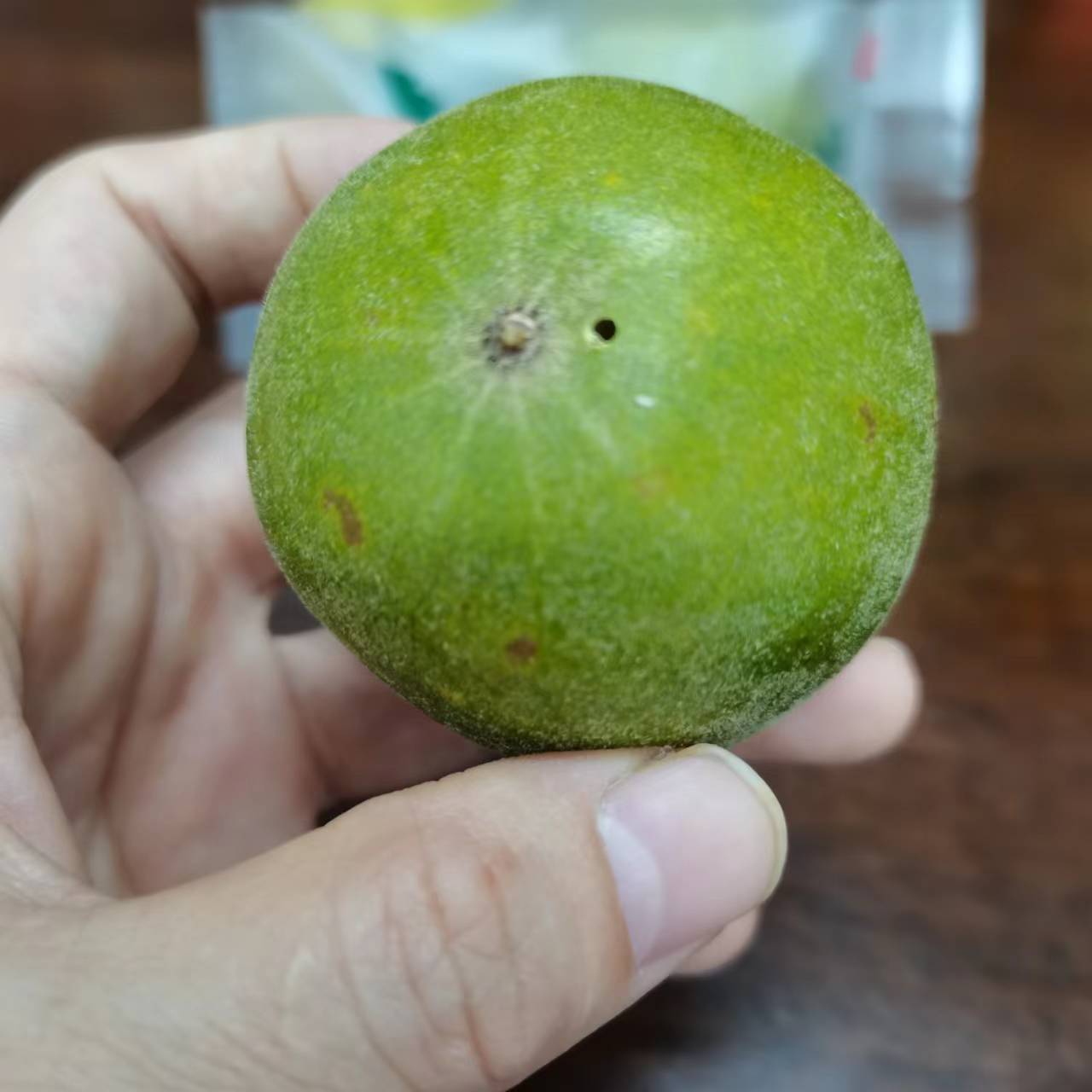 七醉·广西桂林精至普通有籽罗汉果6枚（每枚13-15g）