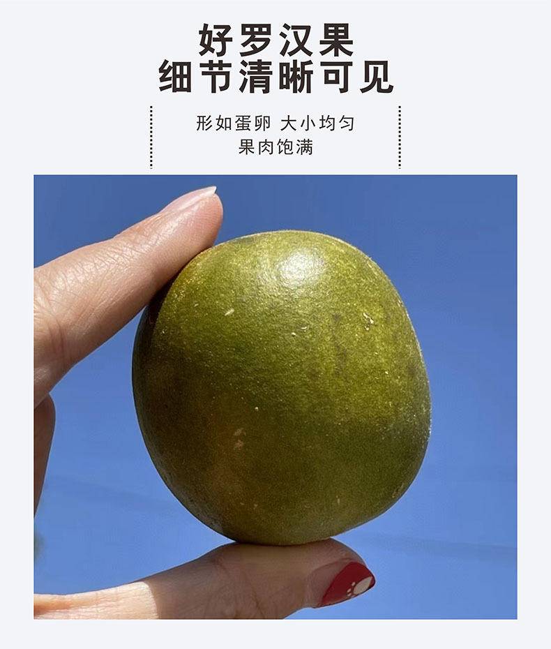 七醉·广西桂林精至普通有籽罗汉果6枚（每枚13-15g）