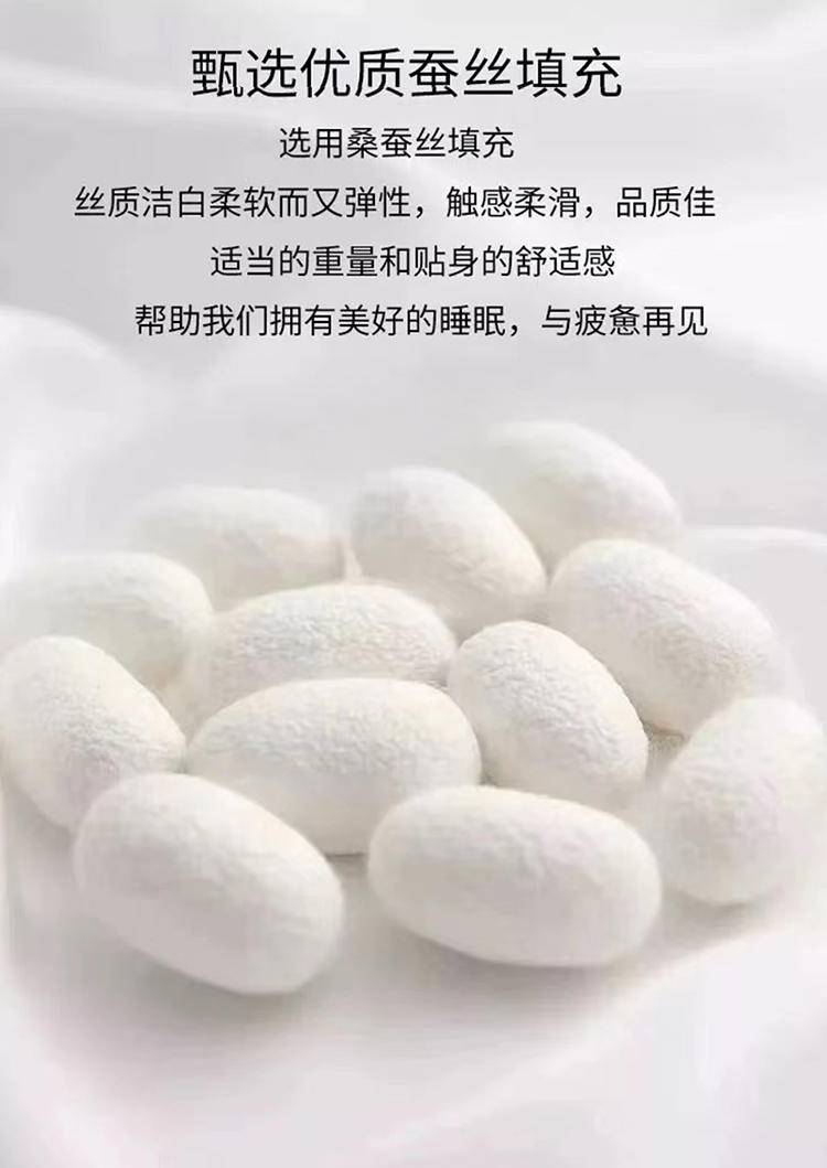 【限时】红瑞优品澳绒蚕丝大豆冬被200*230cm