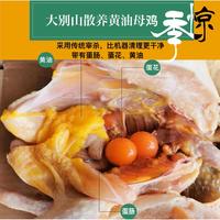 【我店优选-季惊】大别山散养黄油老母鸡 年货必备 2只装（共4斤左右）