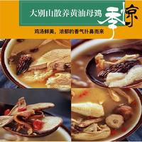 【我店优选-季惊】大别山散养黄油老母鸡 年货必备 2只装（共4斤左右）