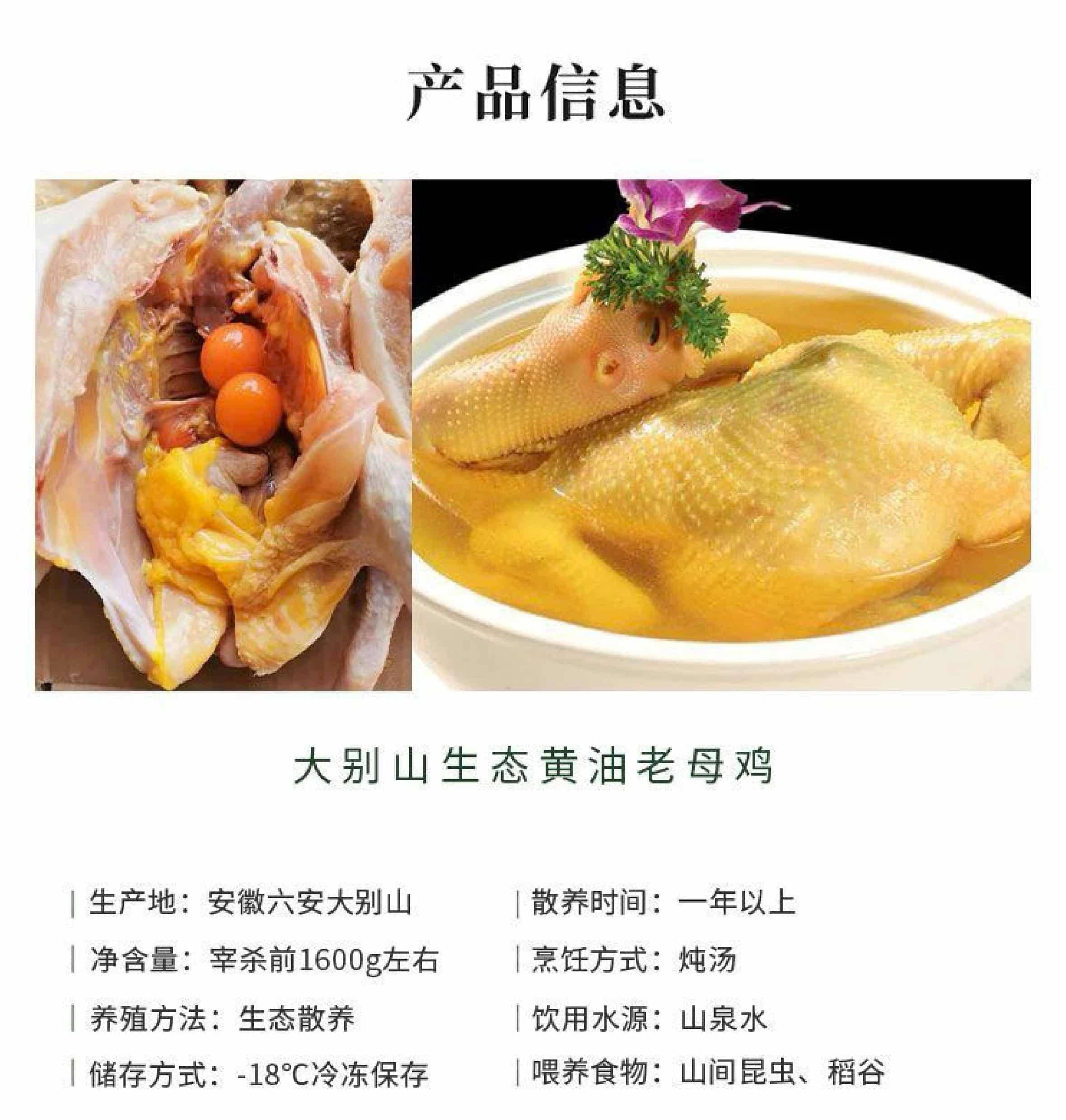 【我店优选-季惊】大别山散养黄油老母鸡 年货必备 2只装（共4斤左右）