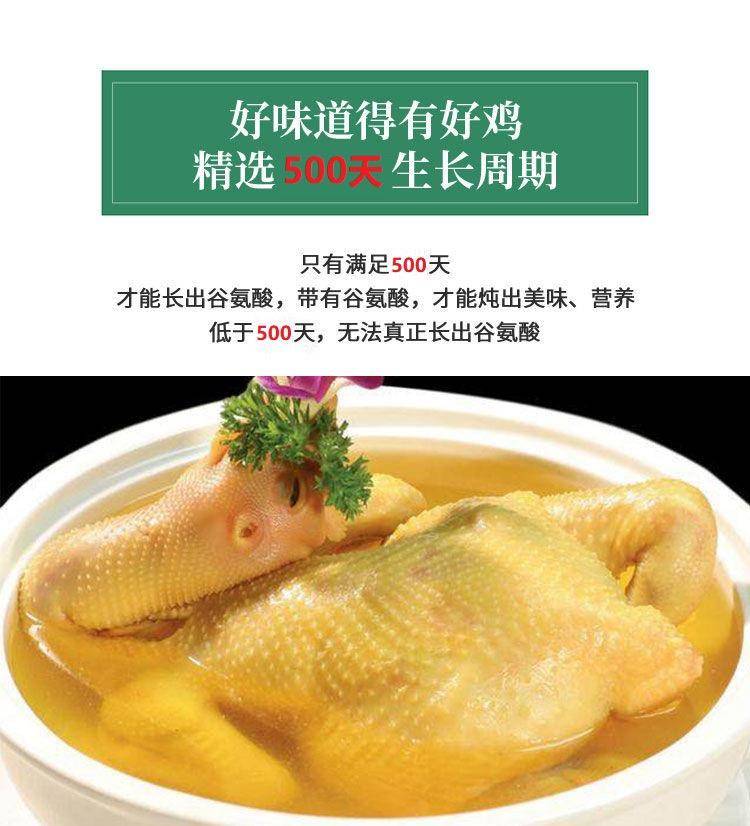 【我店优选-季惊】大别山散养黄油老母鸡 年货必备 2只装（共4斤左右）