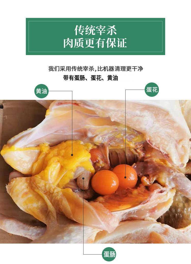 【我店优选-季惊】大别山散养黄油老母鸡 年货必备 2只装（共4斤左右）