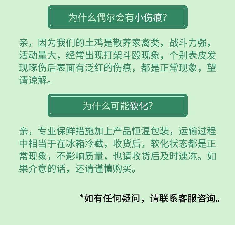 【我店优选-季惊】大别山散养黄油老母鸡 年货必备 2只装（共4斤左右）