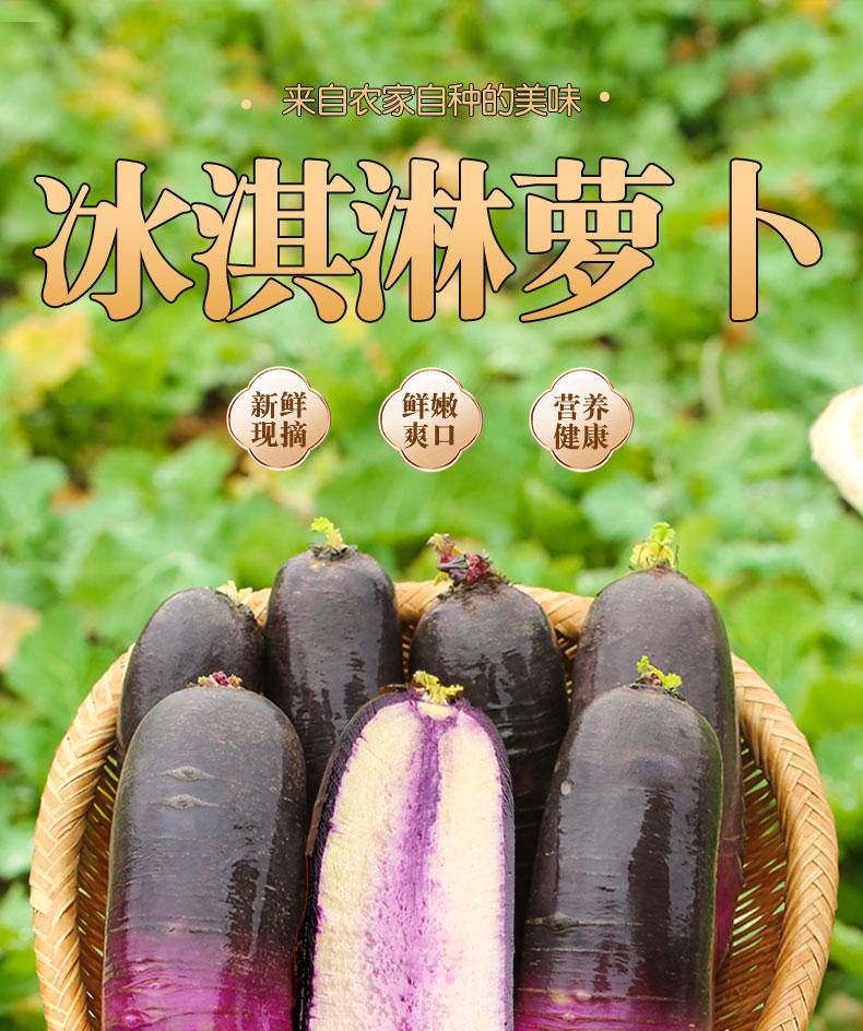 【年货节】兴一 山东现拔紫萝卜冰糖心冰淇淋萝卜 5斤