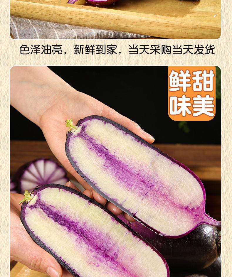 【年货节】兴一 山东现拔紫萝卜冰糖心冰淇淋萝卜 5斤