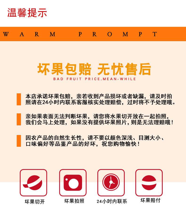 【年货节】兴一 山东现拔紫萝卜冰糖心冰淇淋萝卜 5斤