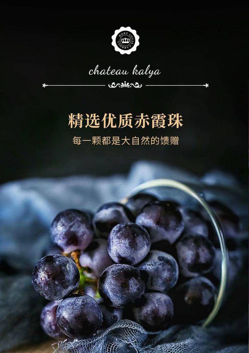 【限时】法国进口原液卡莉娅城堡歪脖子干红葡萄酒750ml*2瓶送礼袋海马刀-750ml*2瓶