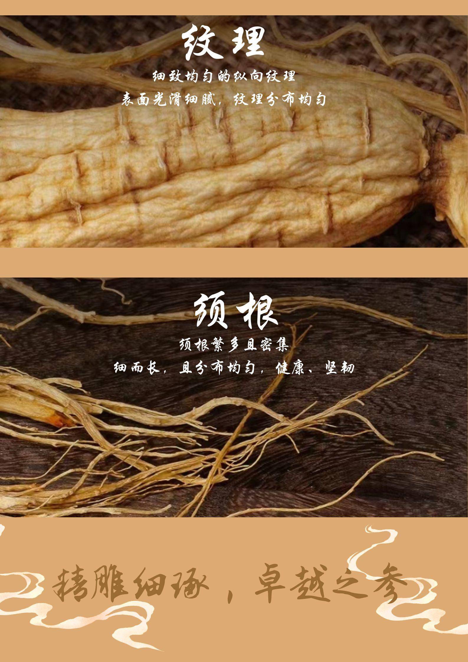 【不上架】延边长白山野山参 野山参（40年以上） 1枝