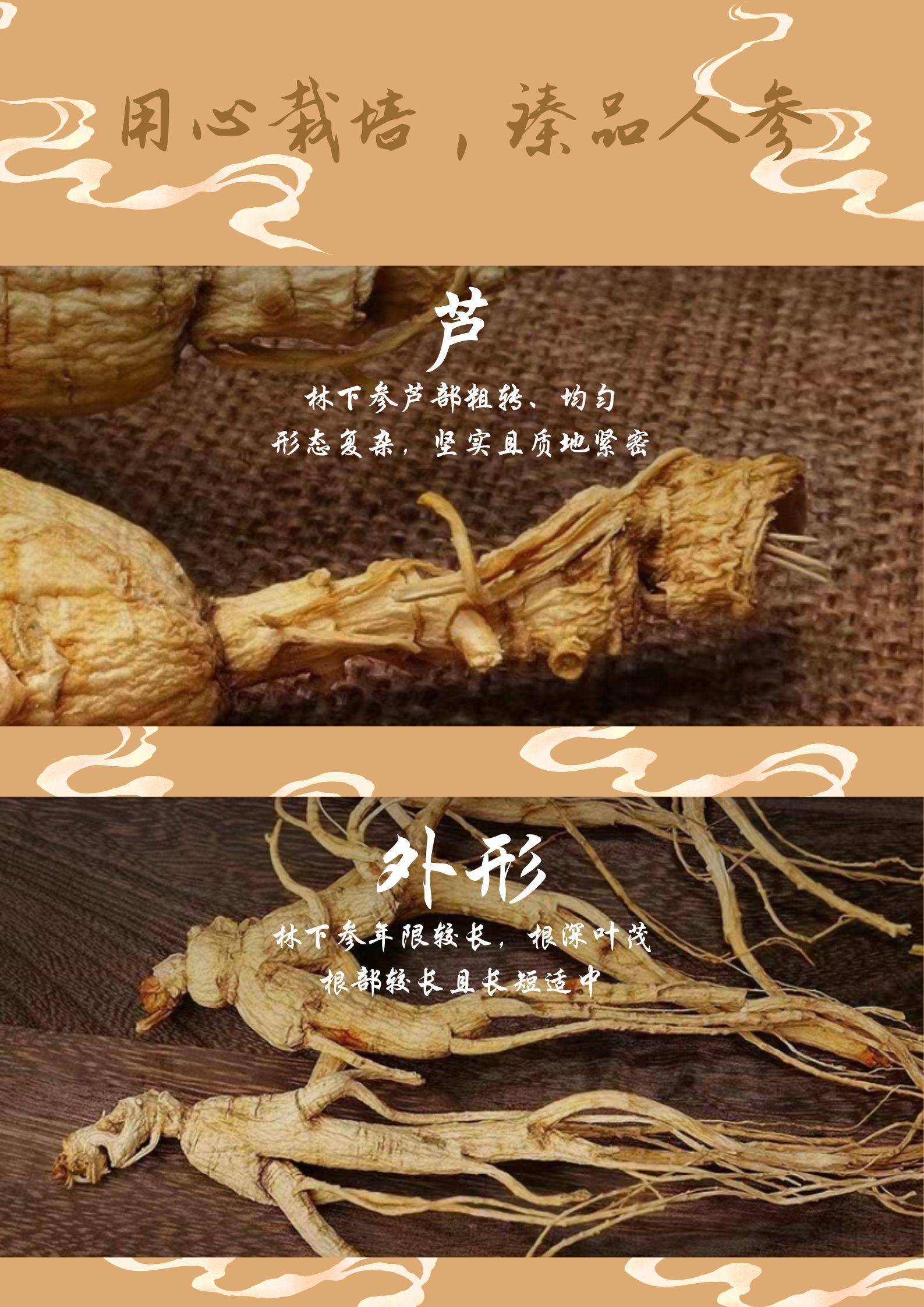 【不上架】延边长白山野山参 野山参（40年以上） 1枝