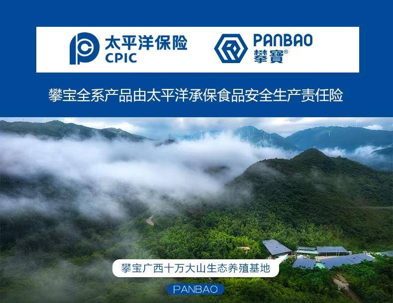 攀宝生态老母鸡