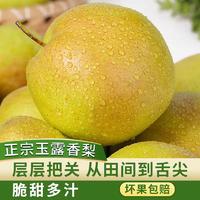 山西隰县玉露香梨中果4.5斤9颗