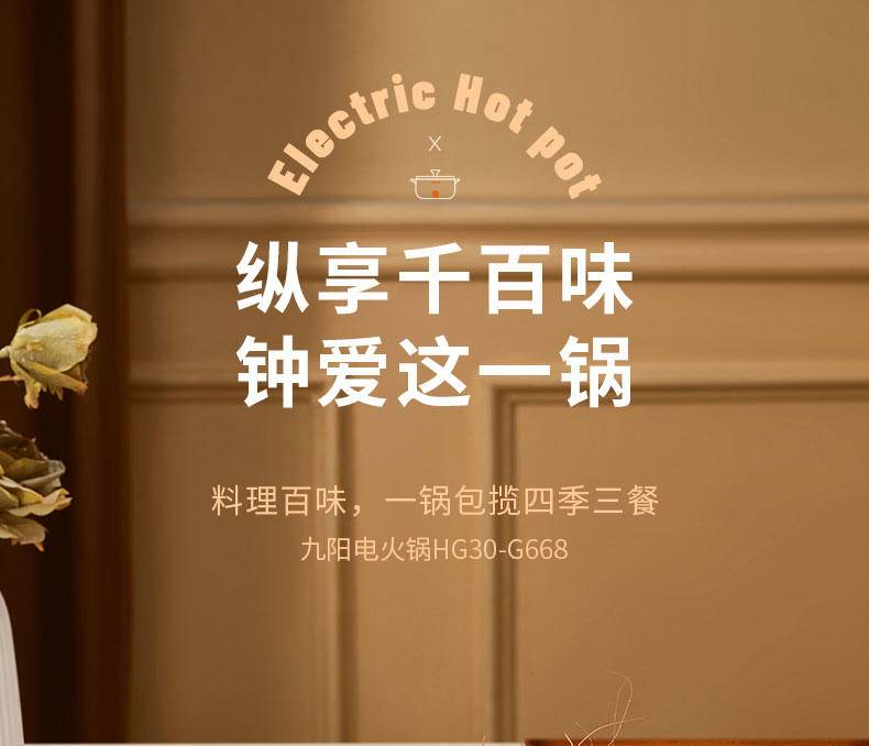 九阳3升电火锅HG30-G668