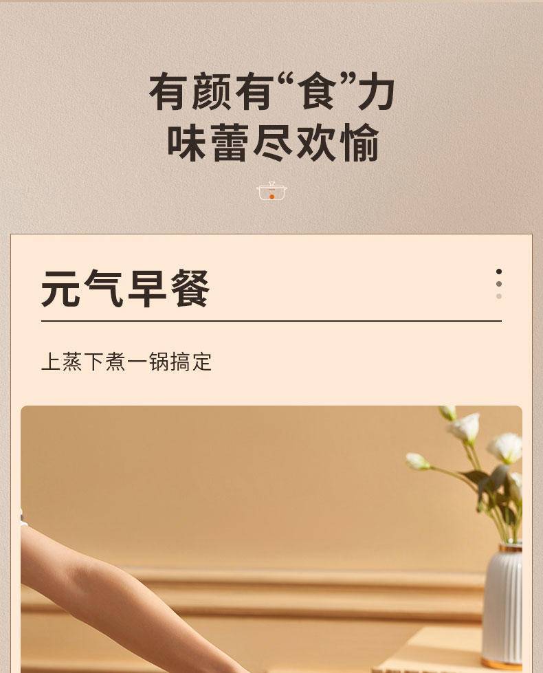 九阳3升电火锅HG30-G668