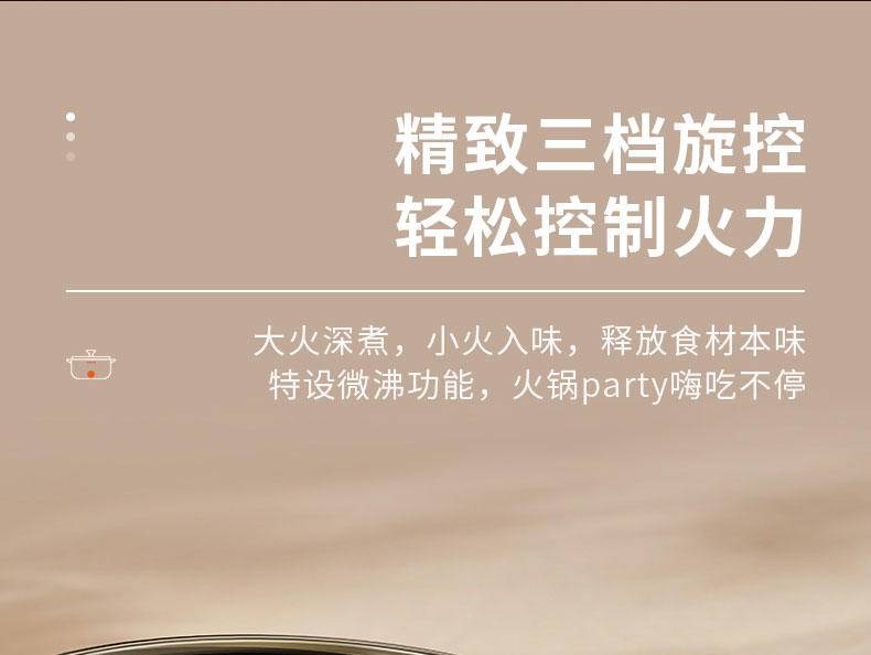 九阳3升电火锅HG30-G668