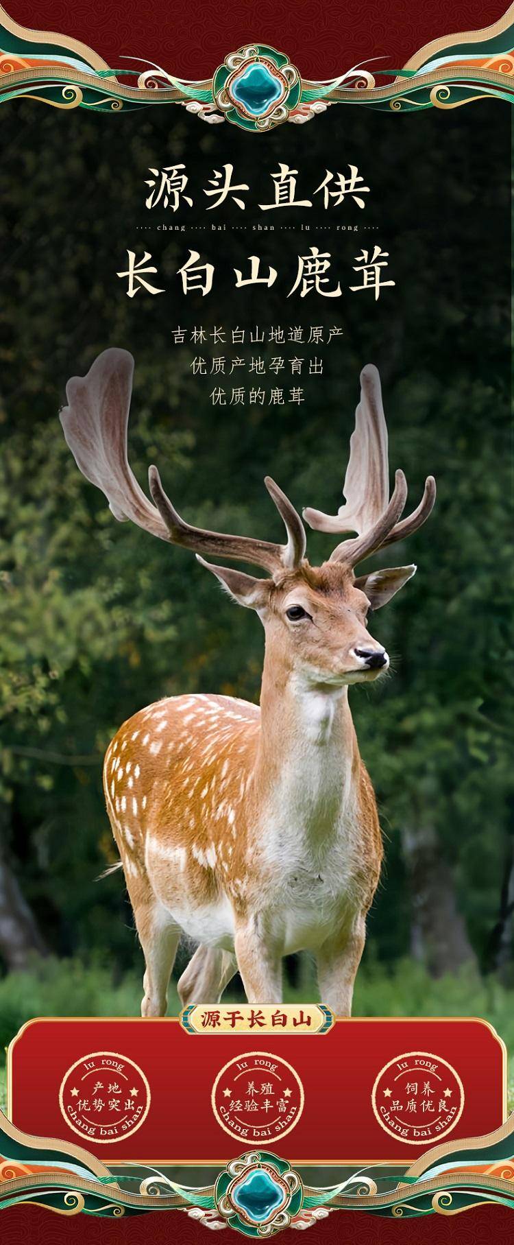 【缺货下架】【集采】南京同仁堂绿金家园-四宝滋补礼盒（西洋参30g+鹿茸10g+石斛50g+灵芝30g）*10盒