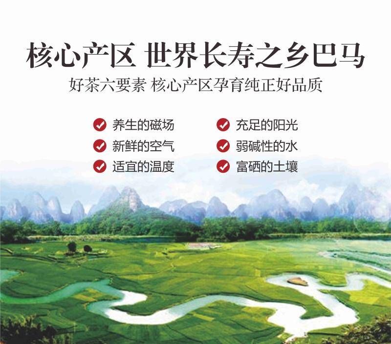 【集采】苷亮健巴马甜茶降糖礼遇款50g/尊享款75g（10份起订）