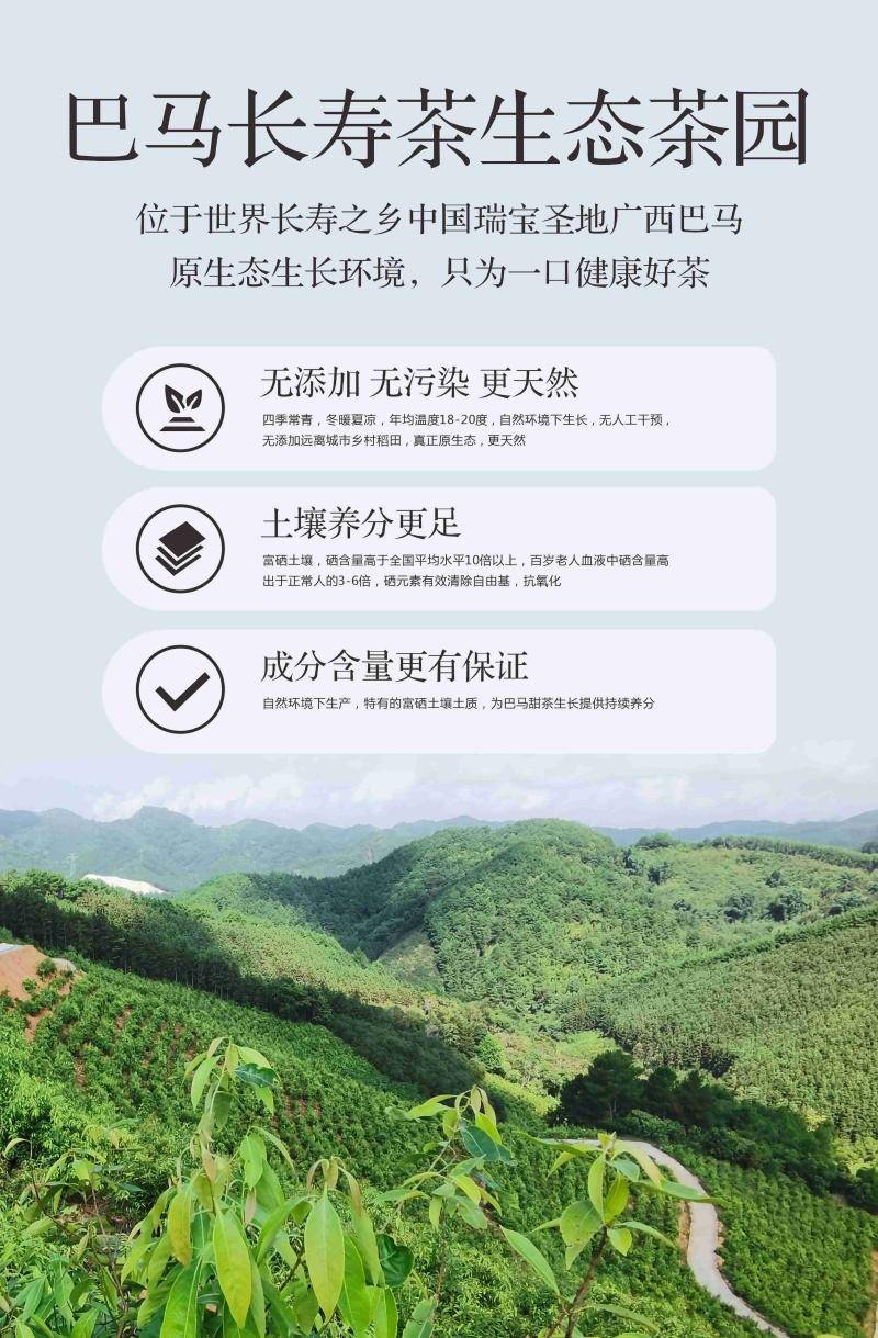 【集采】苷亮健巴马甜茶降糖礼遇款50g/尊享款75g（10份起订）