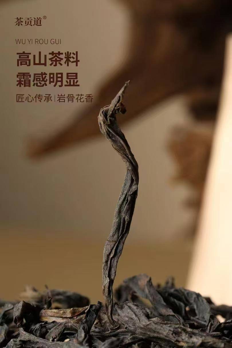茶贡道 肉桂 250g/盒