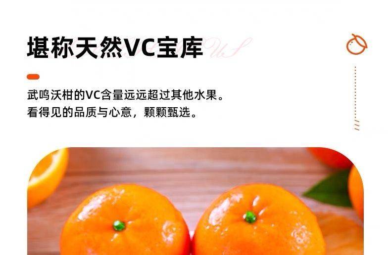 【年货节】广西武鸣沃柑2500g (13～16个)