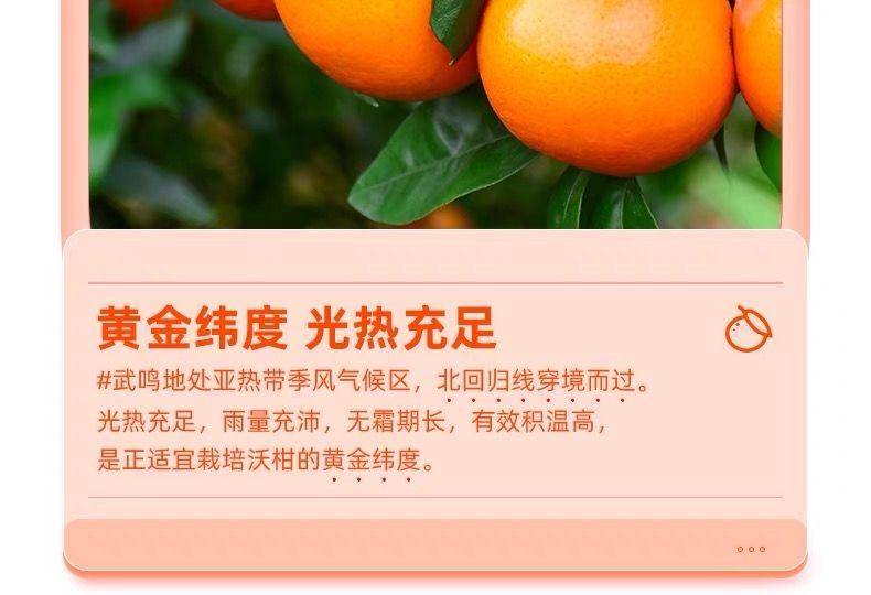 【年货节】广西武鸣沃柑2500g (13～16个)
