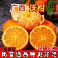 【年货节】广西武鸣沃柑2500g (13～16个)