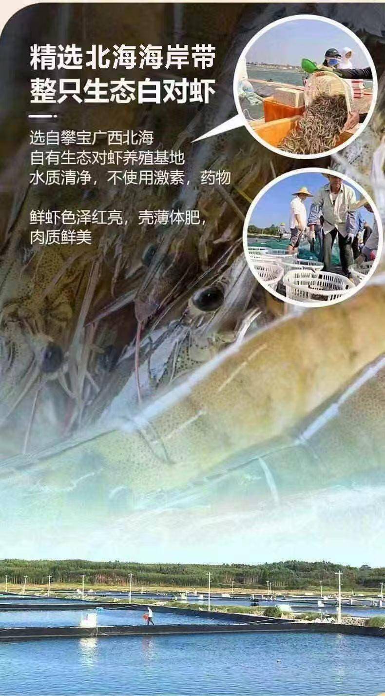 攀宝生态咔啦虾
