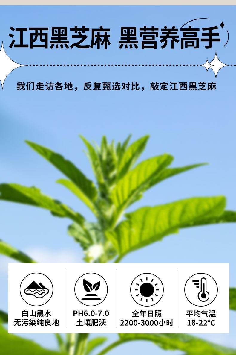 【年货节】泰山黄精黑芝麻丸108g/盒