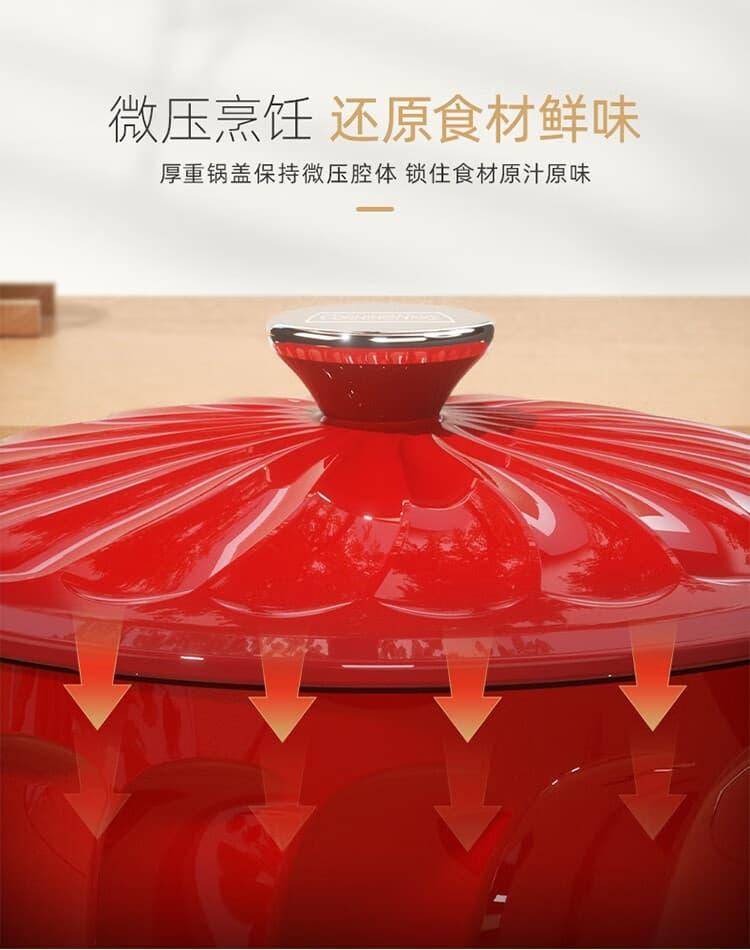 康宁珐琅锅铸铁锅家用煮锅炖锅汤锅煲汤锅炖肉锅多功能锅 炫纹珐琅锅 22cm