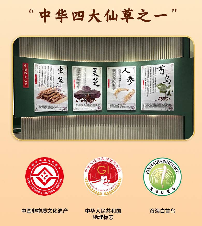 盐阜 陈氏首乌白首乌黑芝麻丸 135g