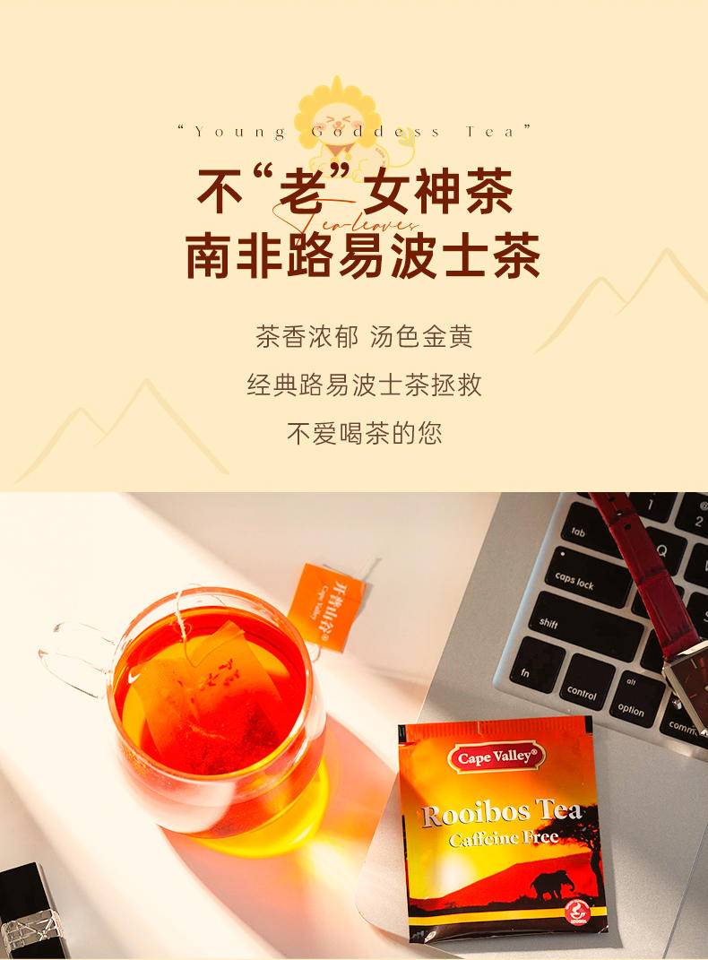 开普山谷 量贩装博士茶+普普牛奶杯