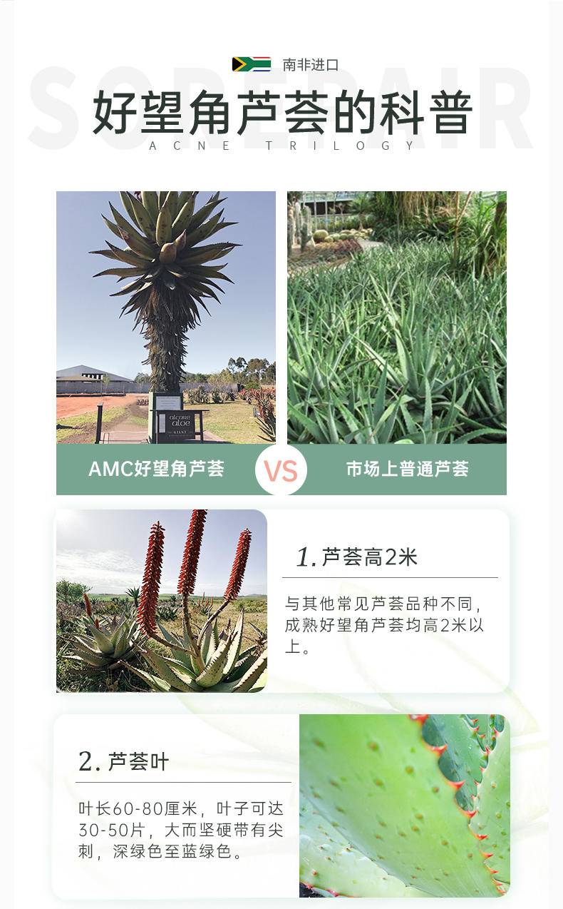 AMC 好望角芦荟胶