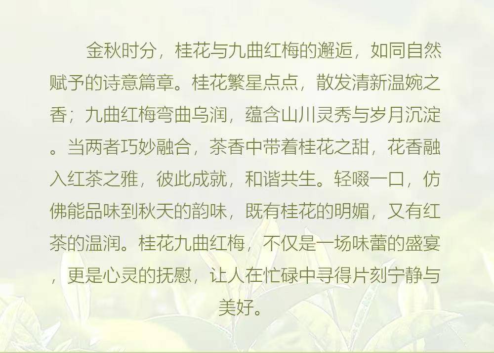 浙茶集团兴合悦 桂花九曲红梅50g*1罐