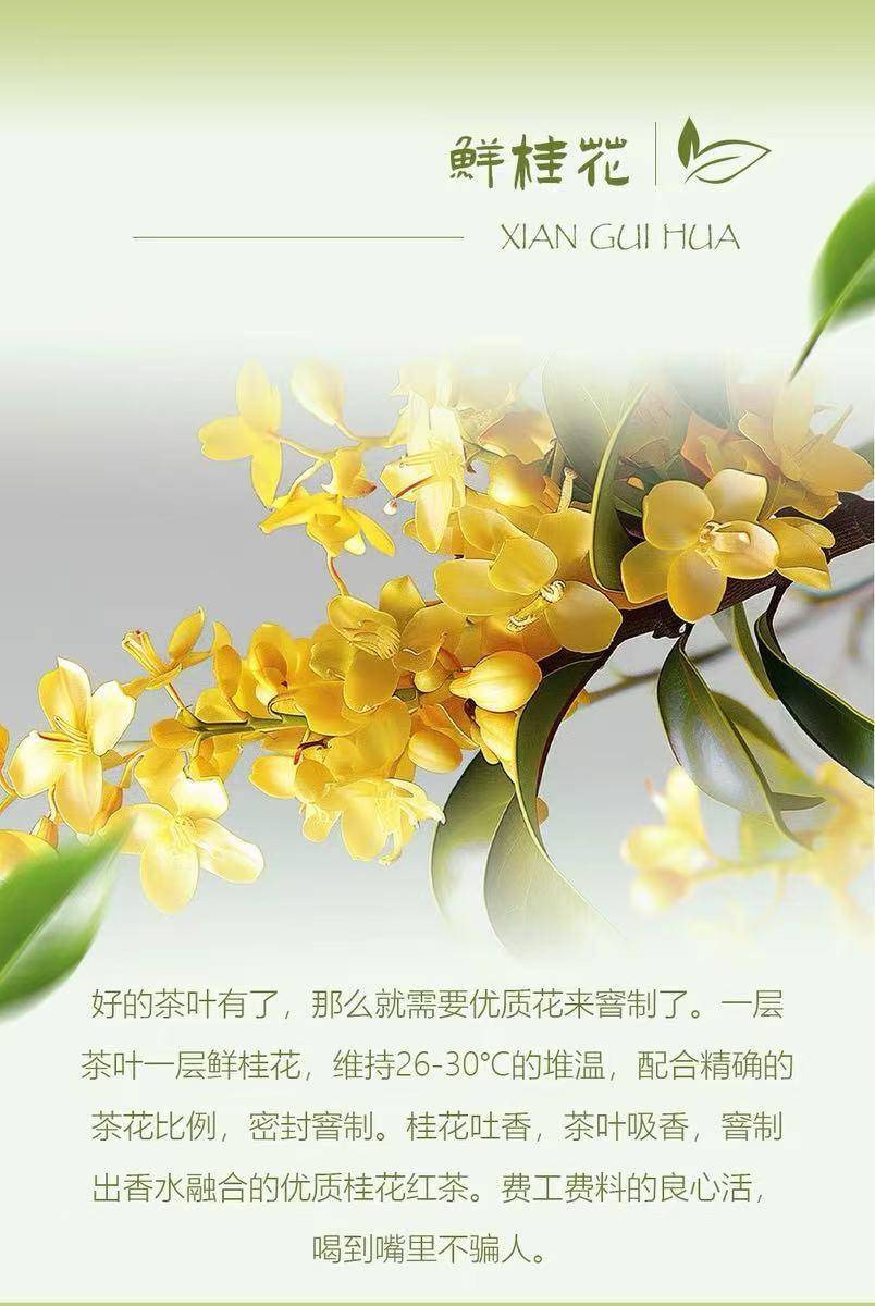 浙茶集团兴合悦 桂花九曲红梅50g*1罐