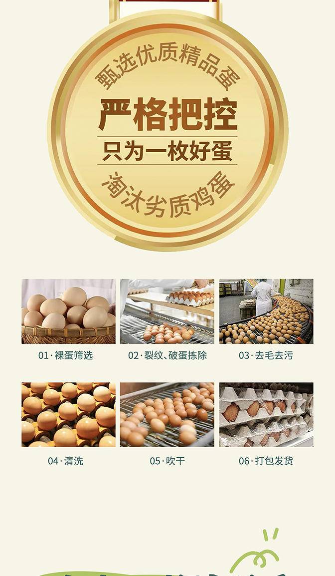【我店优选-季惊】精选 无抗生素 无激素 48小时鲜 高营养竹林蛋