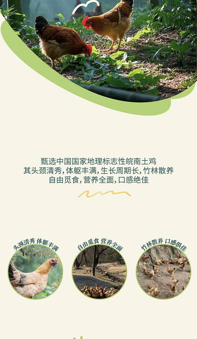 【我店优选-季惊】精选 无抗生素 无激素 48小时鲜 高营养竹林蛋