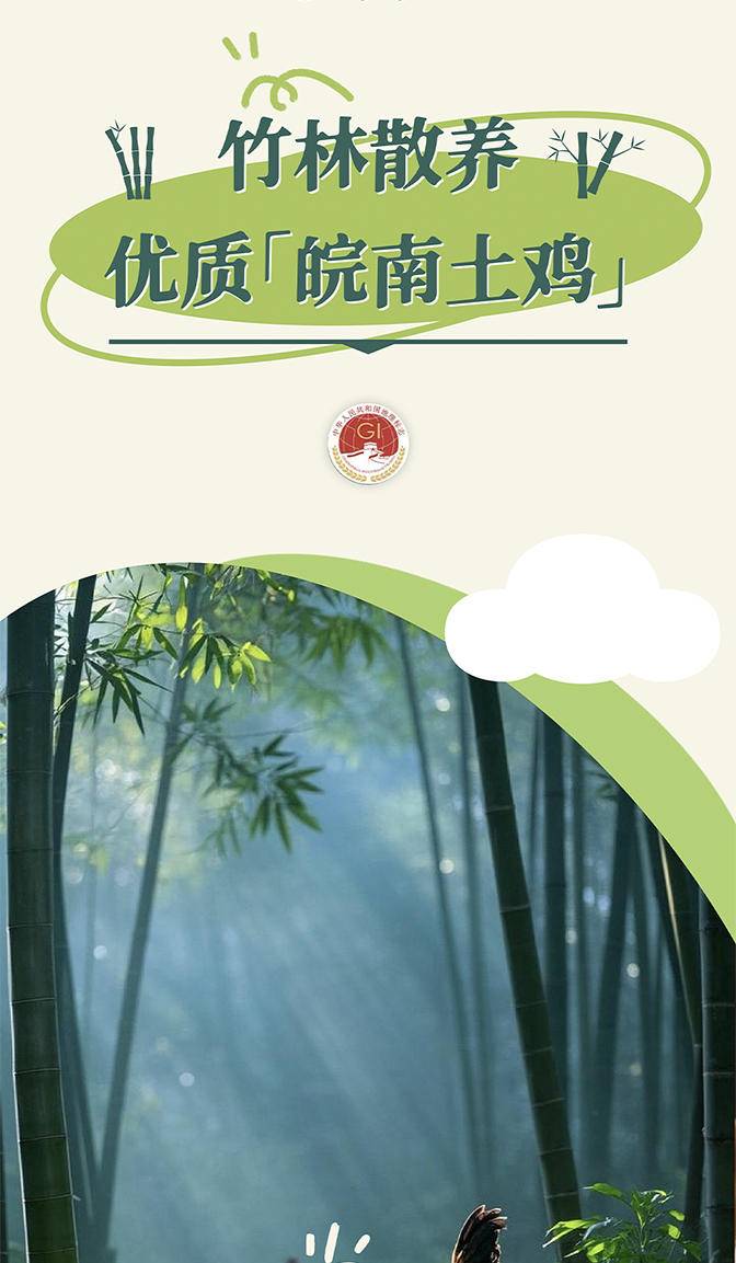 【我店优选-季惊】精选 无抗生素 无激素 48小时鲜 高营养竹林蛋