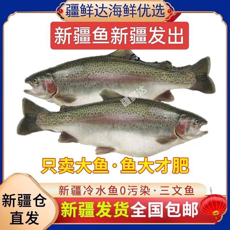 【年货节】新疆冷水鱼0污染·三文鱼2-2.5KG 年货好礼 年货必备