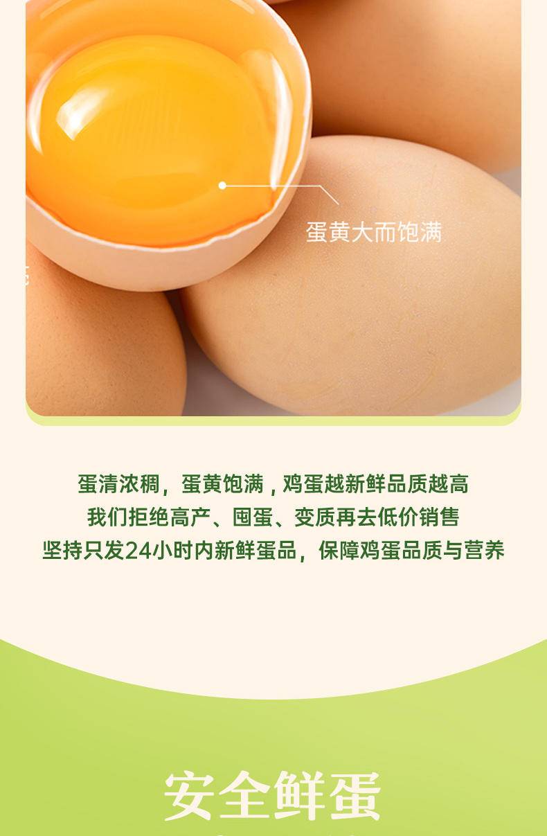 【我店优选-季惊】精选 无抗生素 无激素 48小时鲜 高营养竹林蛋