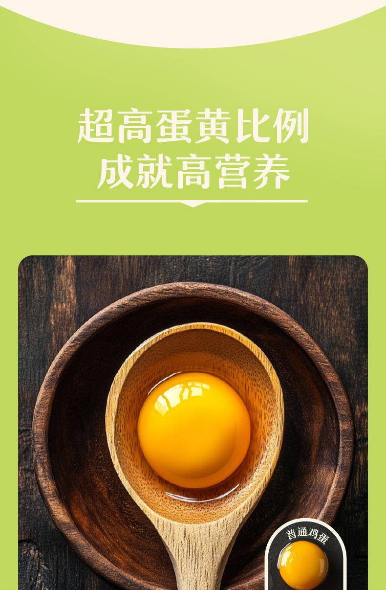 【我店优选-季惊】精选 无抗生素 无激素 48小时鲜 高营养竹林蛋