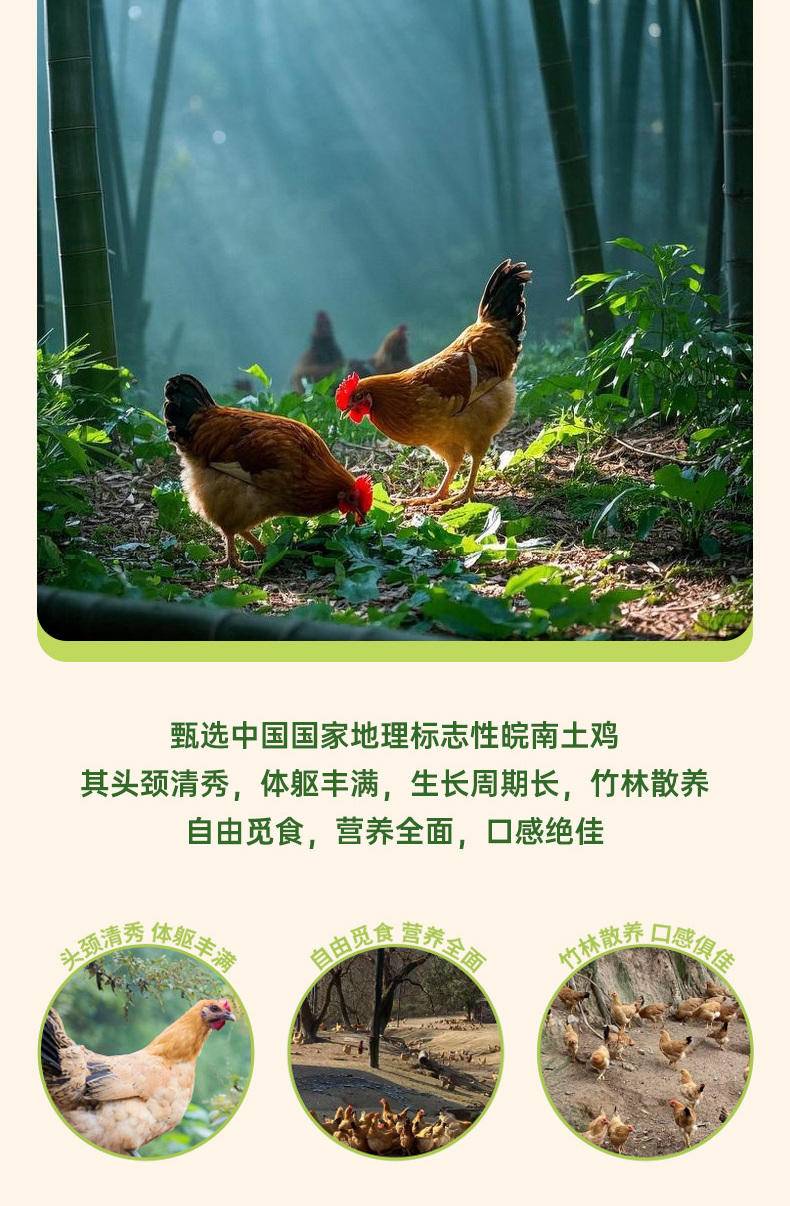 【我店优选-季惊】精选 无抗生素 无激素 48小时鲜 高营养竹林蛋