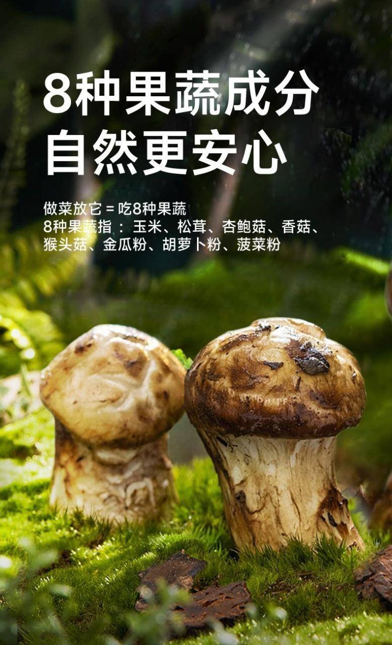 千岚山松茸鲜9袋100g/袋