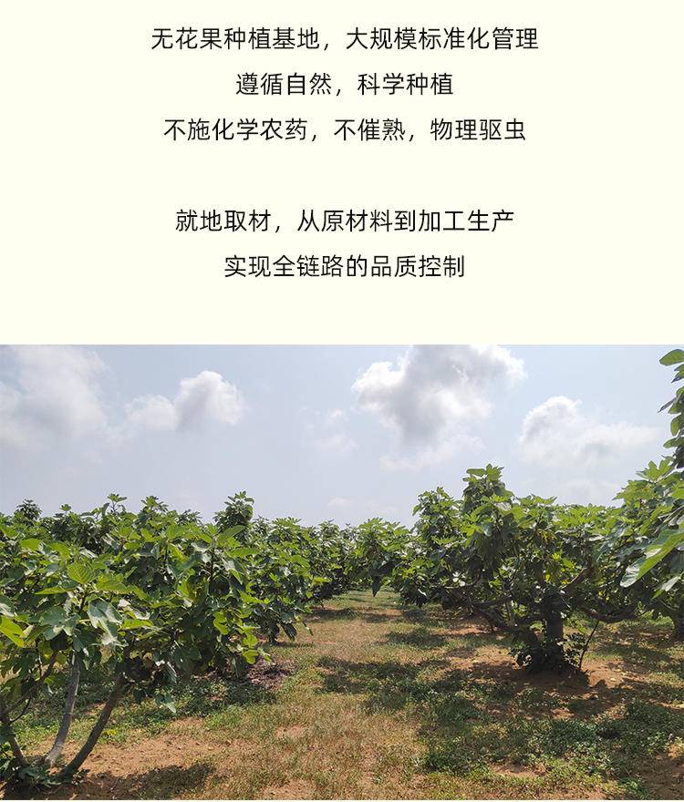 过季下架【集采】七醉·一方云拾无花果干5箱（90g*96罐/箱）