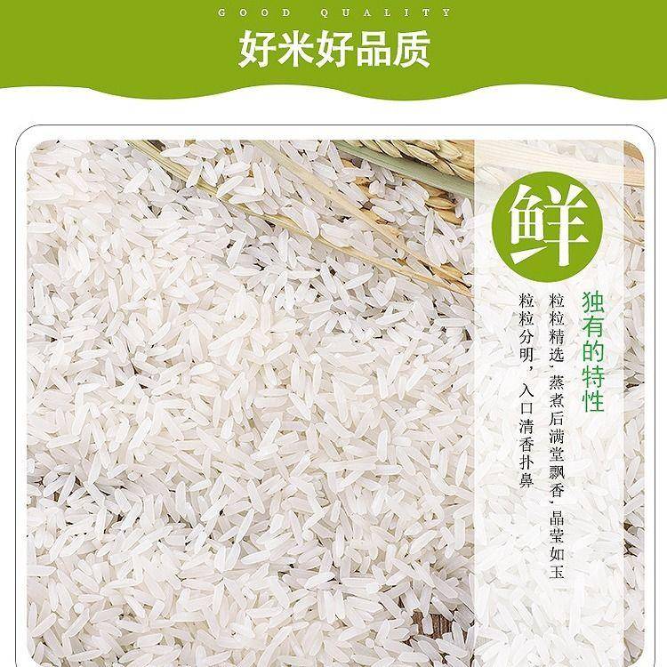 粮生缘长粒香富硒大米10斤/袋真空包装
