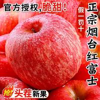 精品烟台红富士苹果5斤/3斤/9斤装