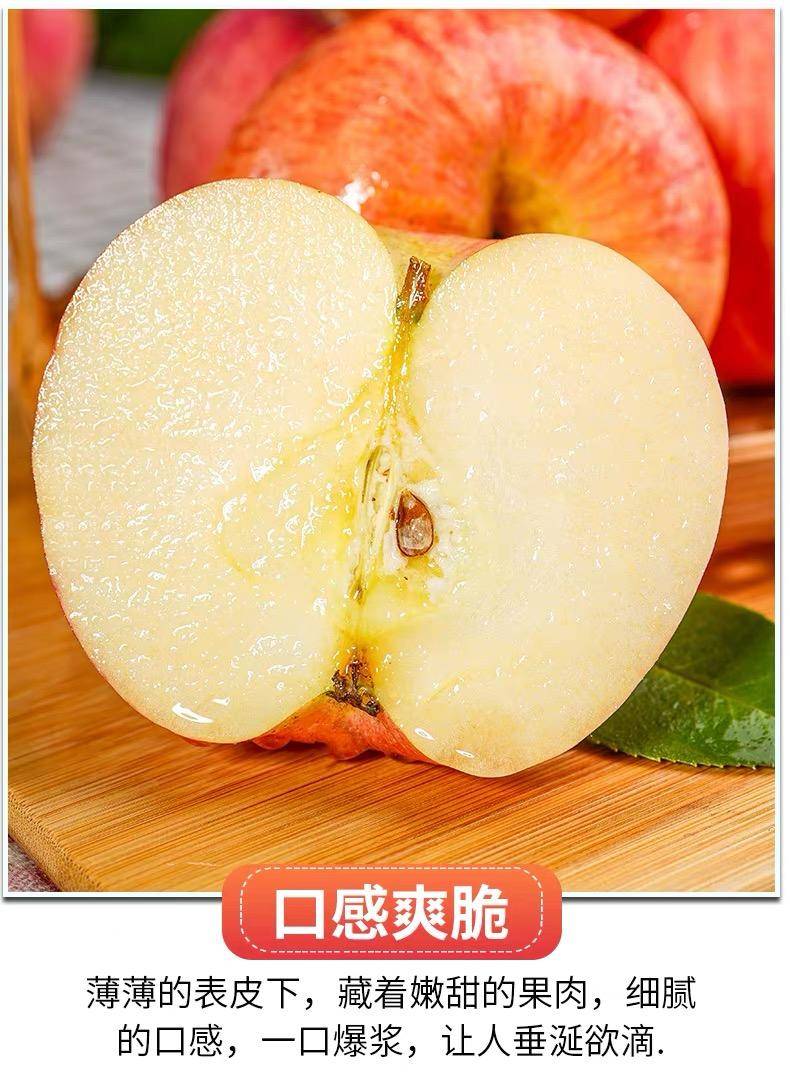 精品烟台红富士苹果5斤/3斤/9斤装
